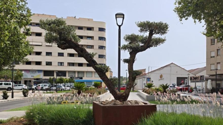 El Ayuntamiento de Oliva mejora la deteriorada glorieta entre la avenida Loygorri y el paseo de Juan Carlos I a la espera de la remodelación global de la zona