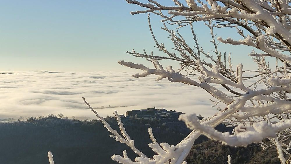 u Un cabirol darrere la boira, a Sant Llorenç de Morunys