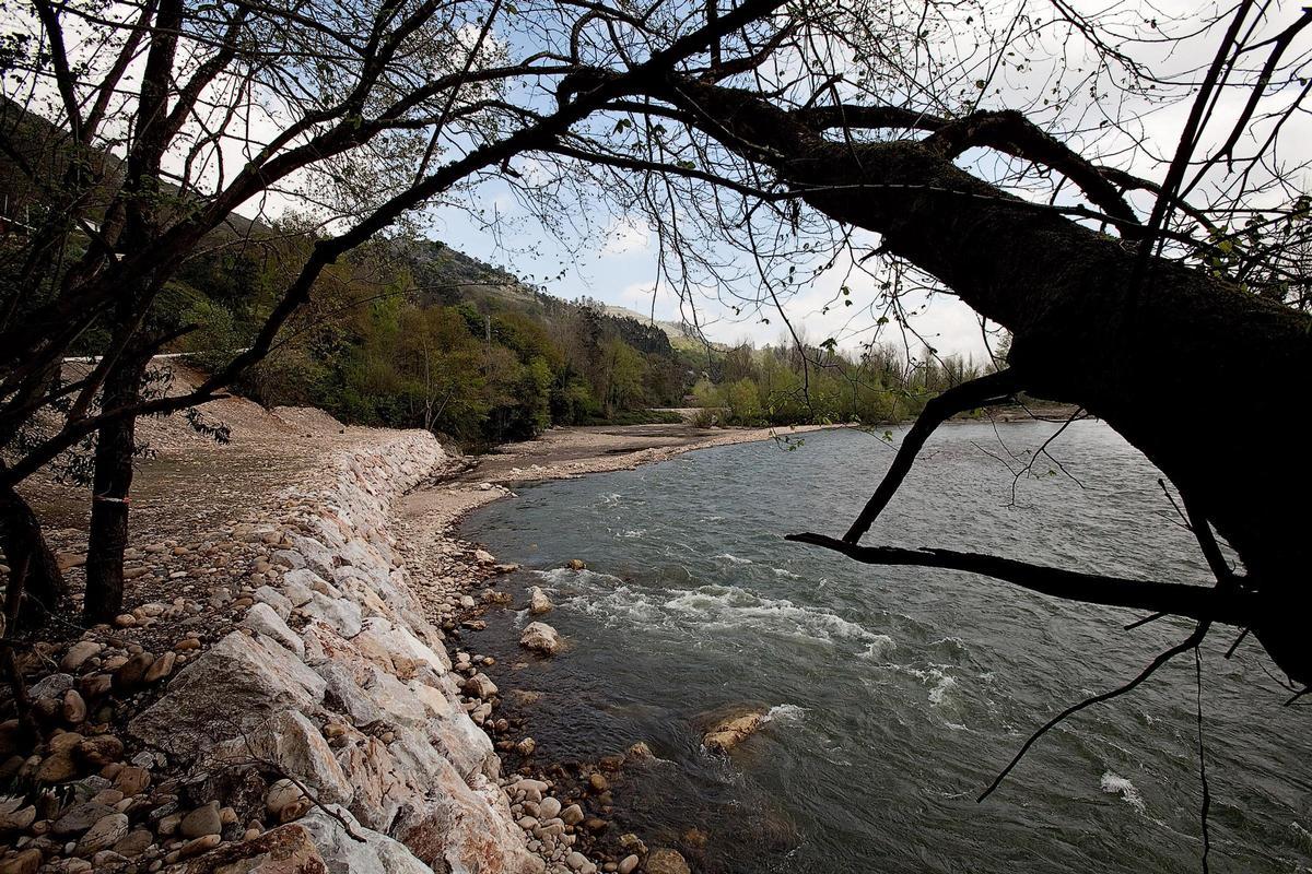 El río Nalón a su paso por Ribera de Arriba.
