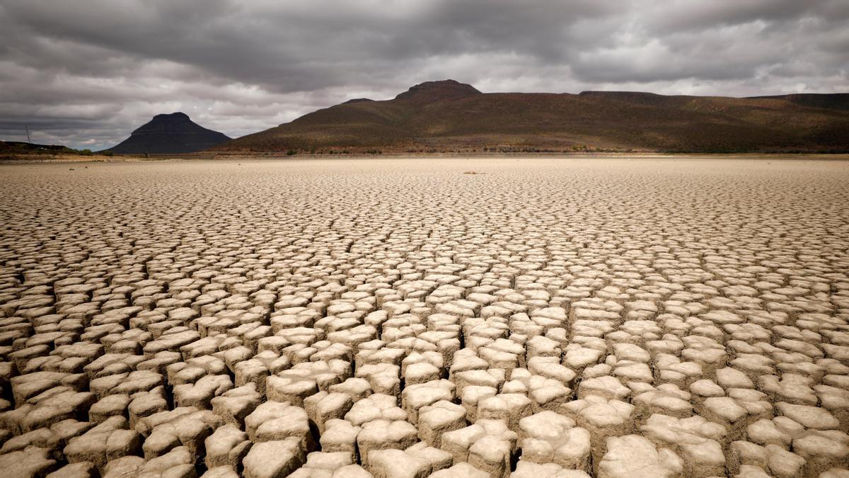 La ciència es conjura contra l’efecte papallona que aniquila el planeta