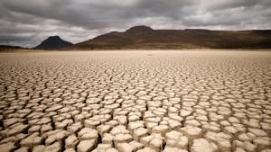 La ciència es conjura contra l’efecte papallona que aniquila el planeta