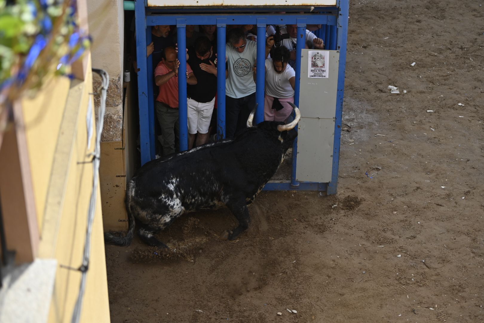 Galería | Primera tarde de toros en Almassora