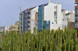 Los defensores del paisaje afean a los partidos las vallas políticas en Las Canteras