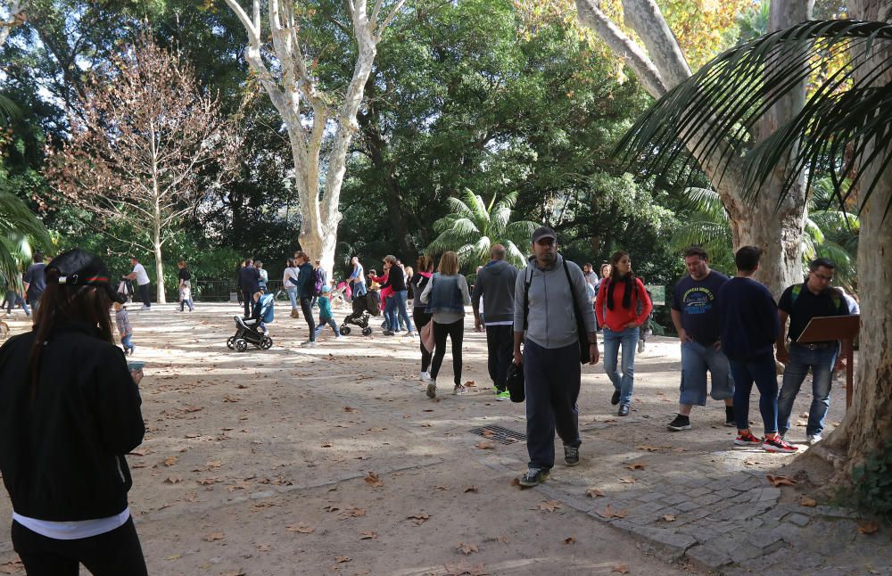 Afluencia masiva de público al botánico con motivo del mercado navideño que ofrecía, además, la posibilidad de visitar de forma gratuita, los jardines