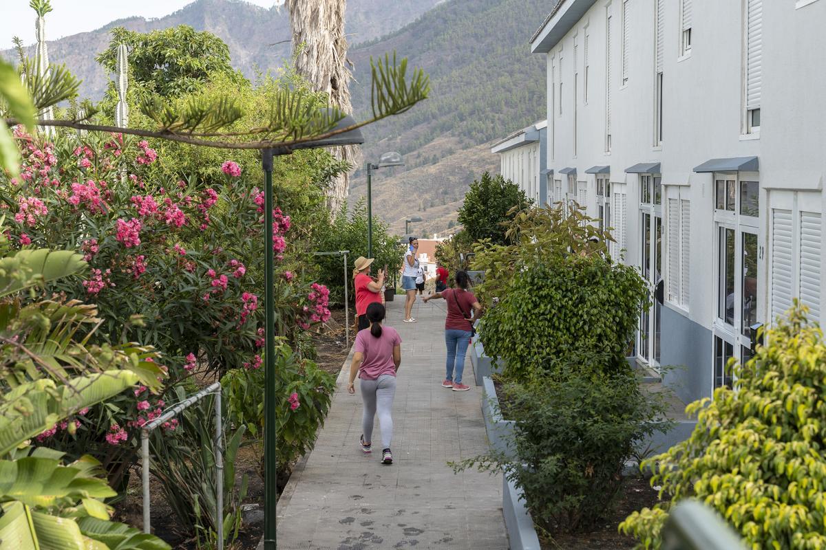 VOLCÁN EN LA PALMA: Obras Públicas entrega 21 viviendas en El Paso a ...