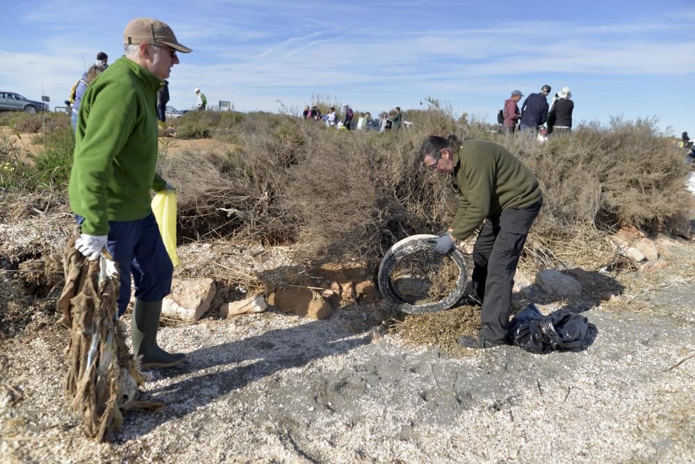 Recogida de plásticos en el Mar Menor