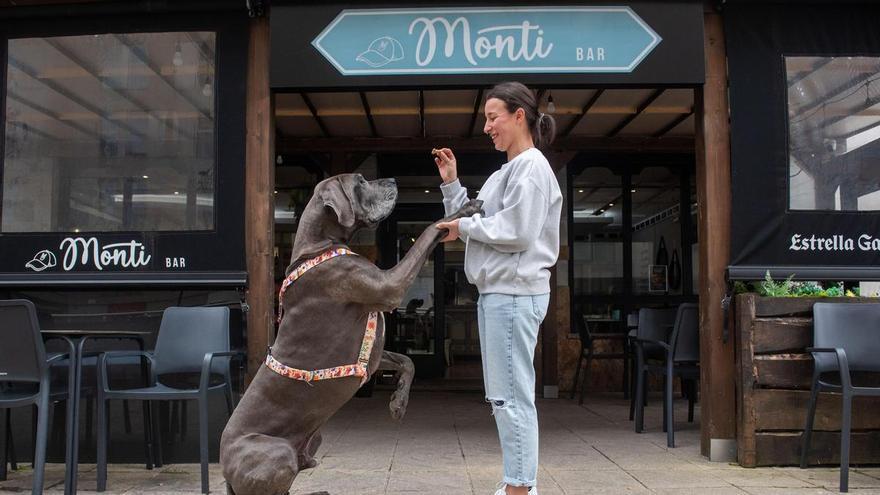 Jagger, el dogo de 85 kilos de La Coruña que se ha convertido en modelo de Zara