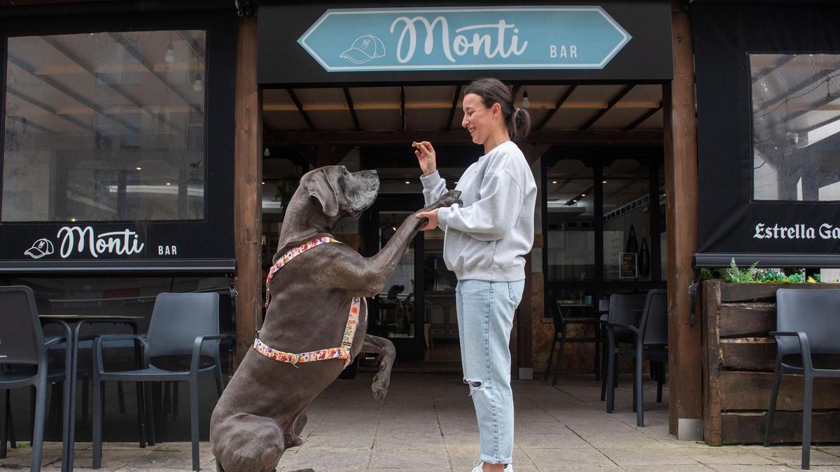 Jagger, el dogo de 85 kilos de O Burgo que ha fichado Inditex