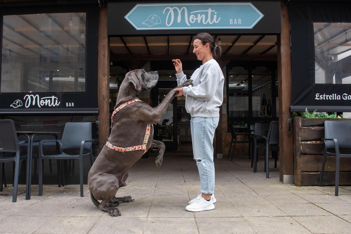 Jagger, el dogo de 85 kilos de O Burgo que ha fichado Inditex