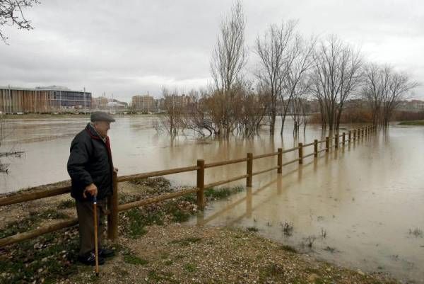 Fotogalería: Crecida en el río Ebro