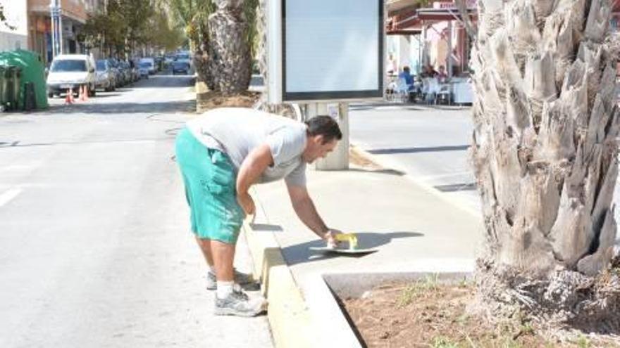 Torrevieja mejora la imagen de la Avenida de Las Habaneras