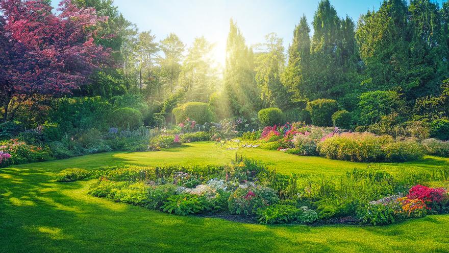 Una gespa sempre en perfecte estat