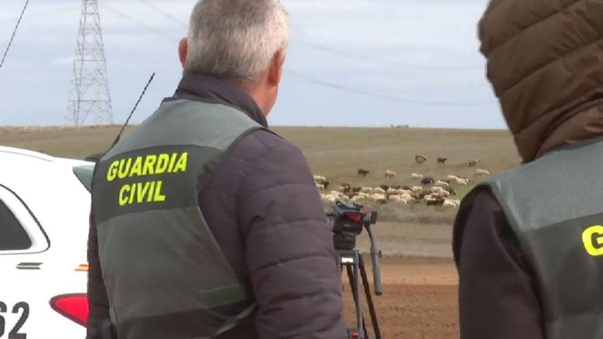 Guardias civiles toman imágenes en las inmediaciones del suceso. | Atlas