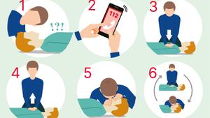 ¿Com fer una reanimació cardiopulmonar (RCP)?: guia de primers auxilis