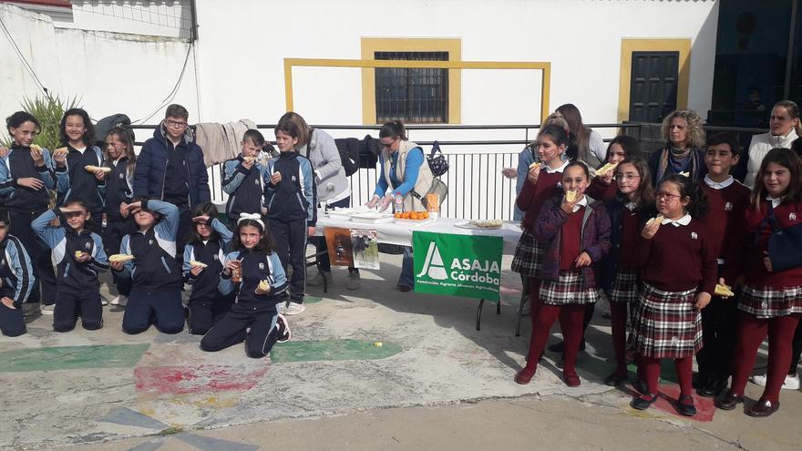 Asaja y Dcoop proporcionan un desayuno saludable a 42.000 alumnos de Córdoba