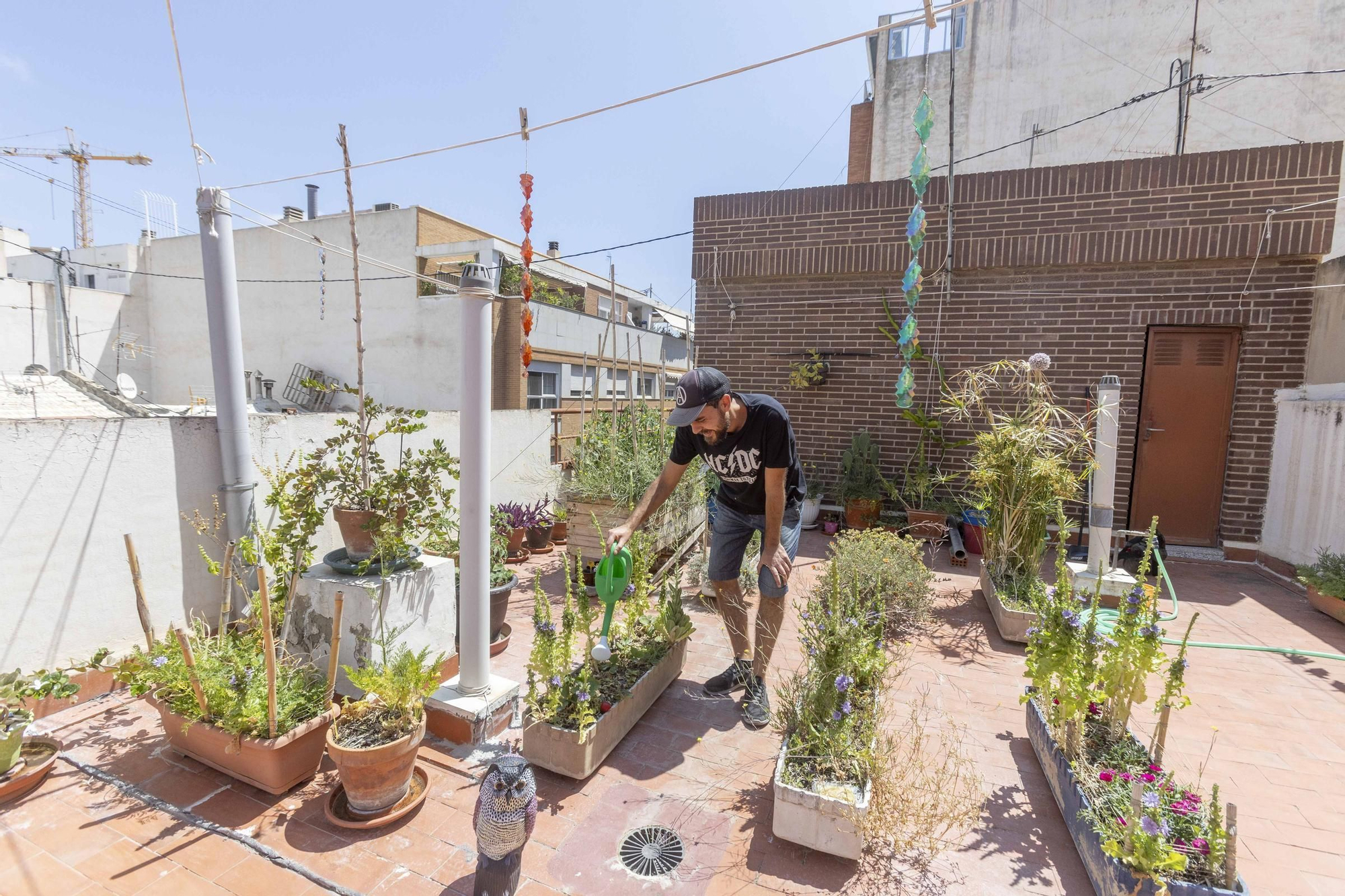 Los huertos en balcones y terrazas son ya una tendencia al alza en la provincia de Alicante