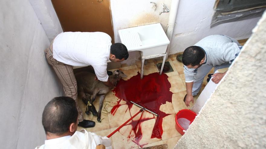 Una familia sacrifica a un animal durante la Fiesta del Cordero, en una imagen de 2007.