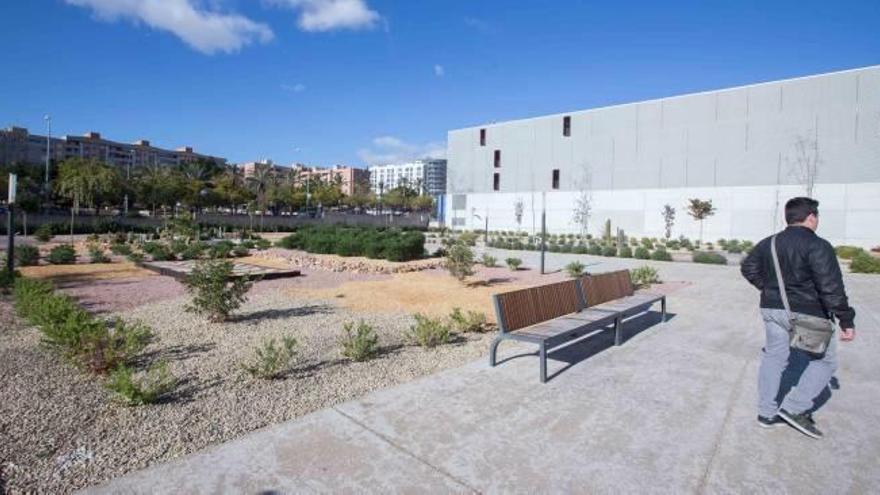 El Hospital General crea un jardín con árboles donados por los trabajadores