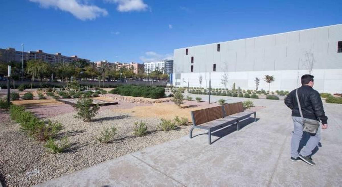 El Hospital General crea un jardín con árboles donados por los trabajadores