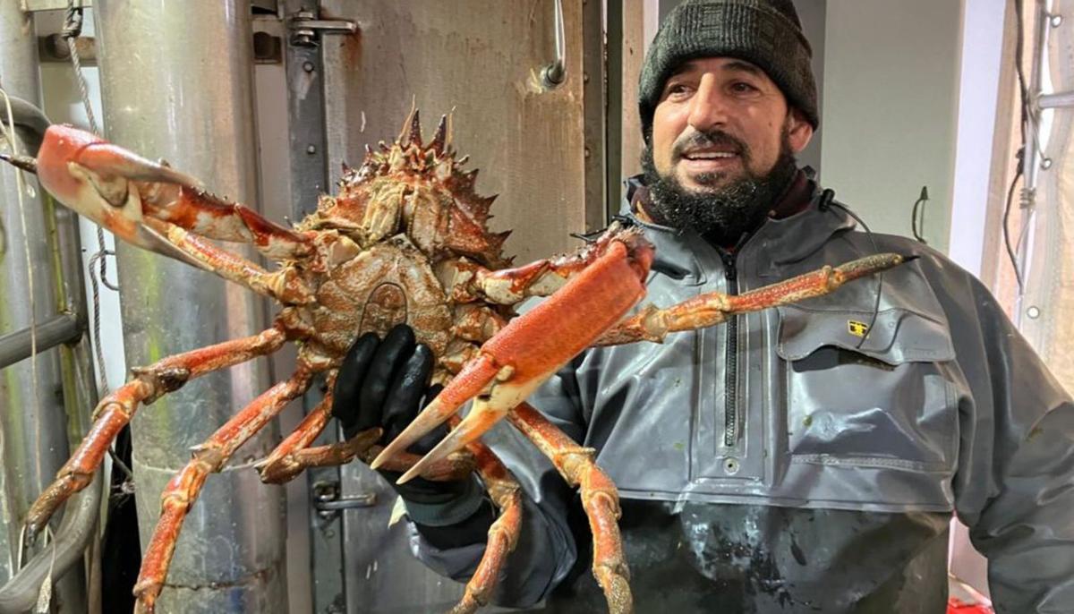 Un marinero grovense muestra uno de los mejores ejemplares de la temporada.   | //  FDV