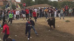 Allau d’animalistes davant l’arribada del Toro de la Vega.