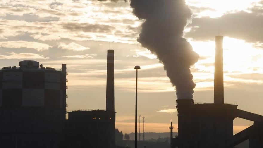 Los ecologistas piden que se active el protocolo de actuación ante situaciones meteorológicas adversas