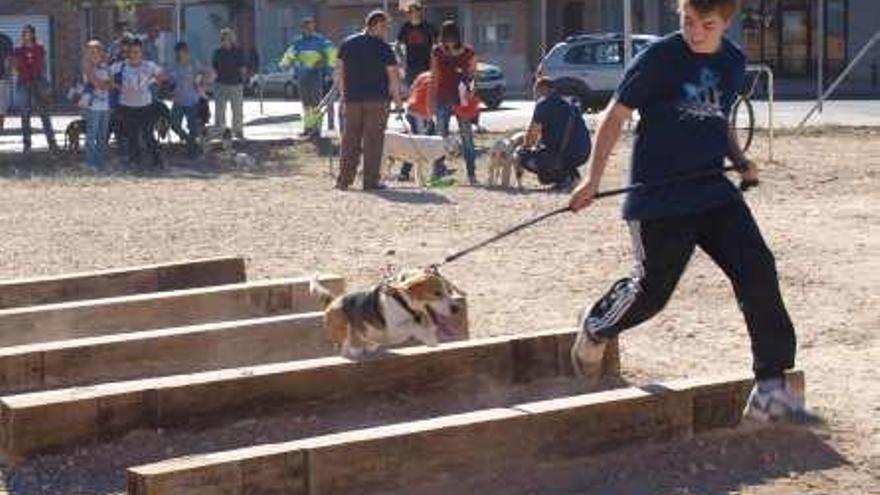 Nueva zona de mascotas en San Vicente