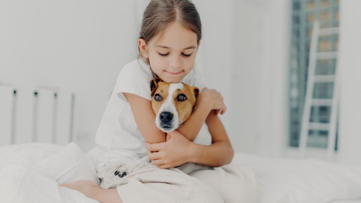 Por qué debes dejar de abrazar a tu perro