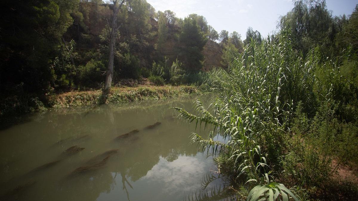 La ampliación del Parc del Túria mantiene el veto a Intu Mediterrani al proteger Les Moles