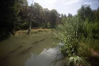 La ampliación del Parc del Túria mantiene el veto a Intu Mediterrani al proteger Les Moles