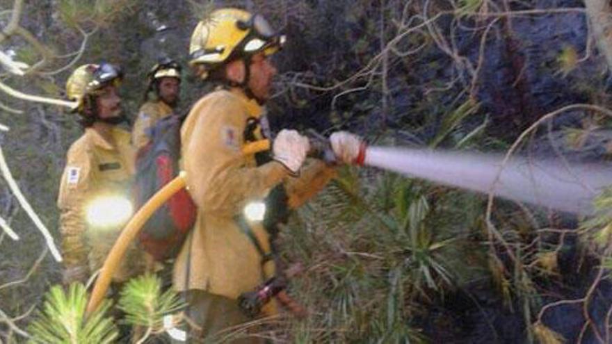 Waldbrand in Gemeinde Alcúdia zerstört 16 Hektar