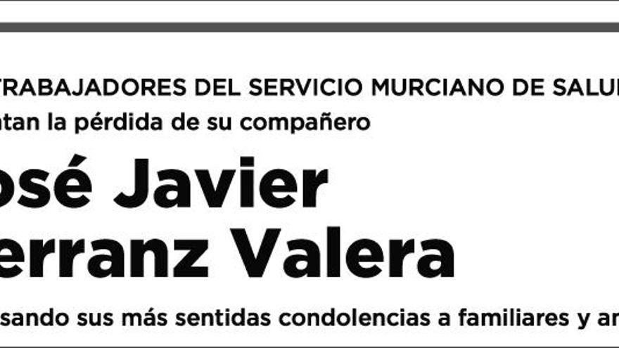 D. José Javier Herranz Valera