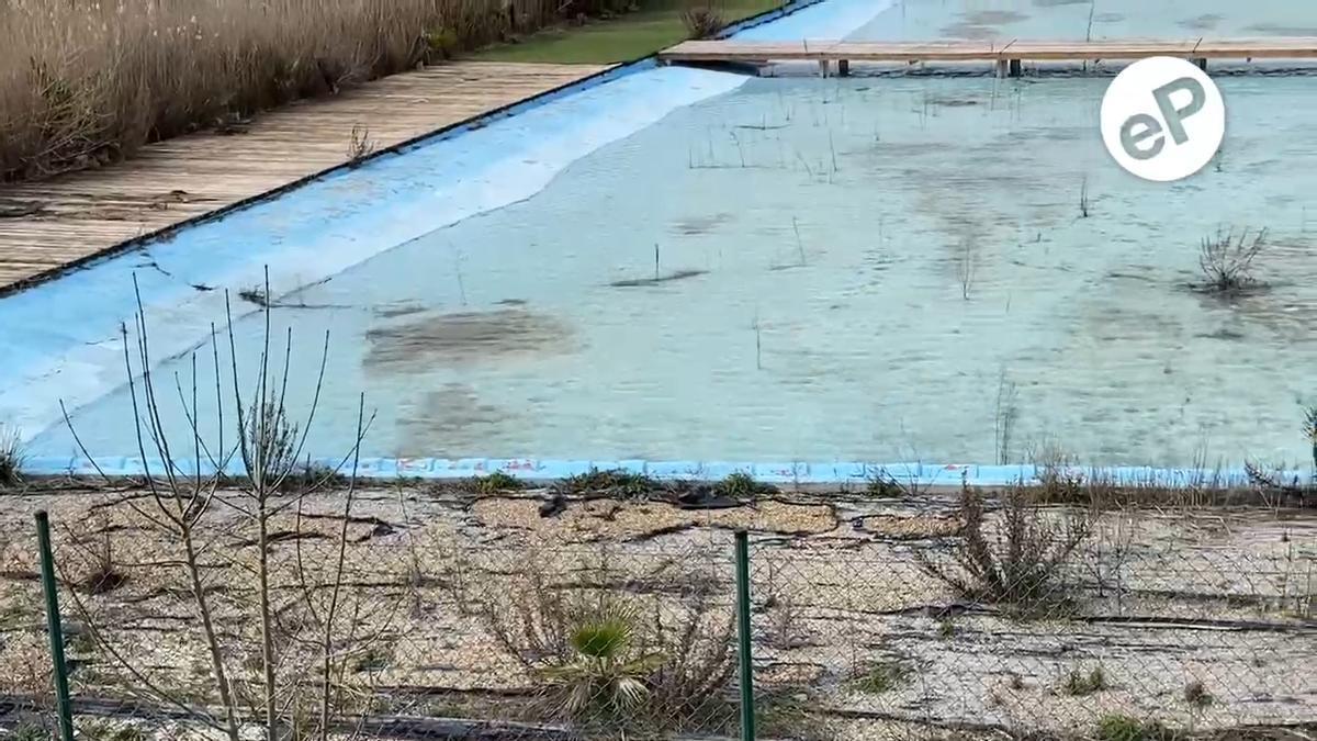 Así están las playas de la Expo: cerradas y abandonadas a la espera de una solución