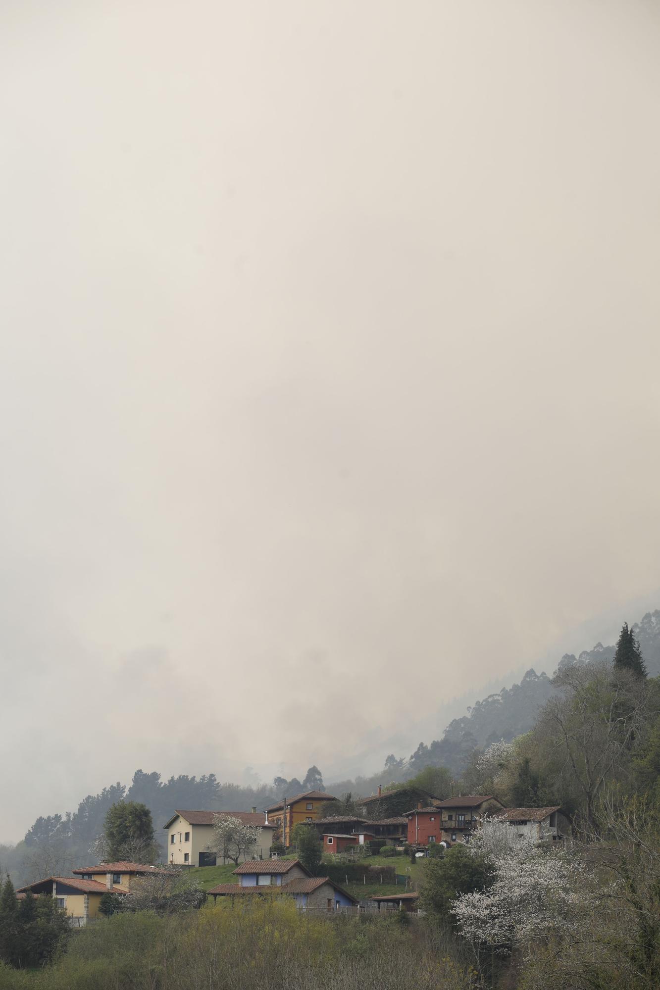 Incendio en la zona de Ques en Piloña