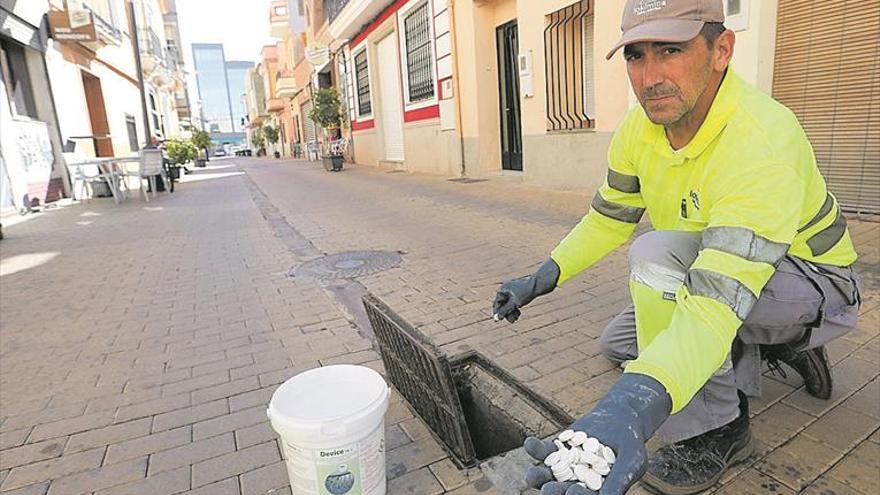 Medio Ambiente se limita a dar permisos y deja a los alcaldes la lucha antimosquitosSClB