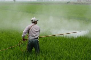 El 83% de los suelos agrícolas de España tienen restos de pesticidas