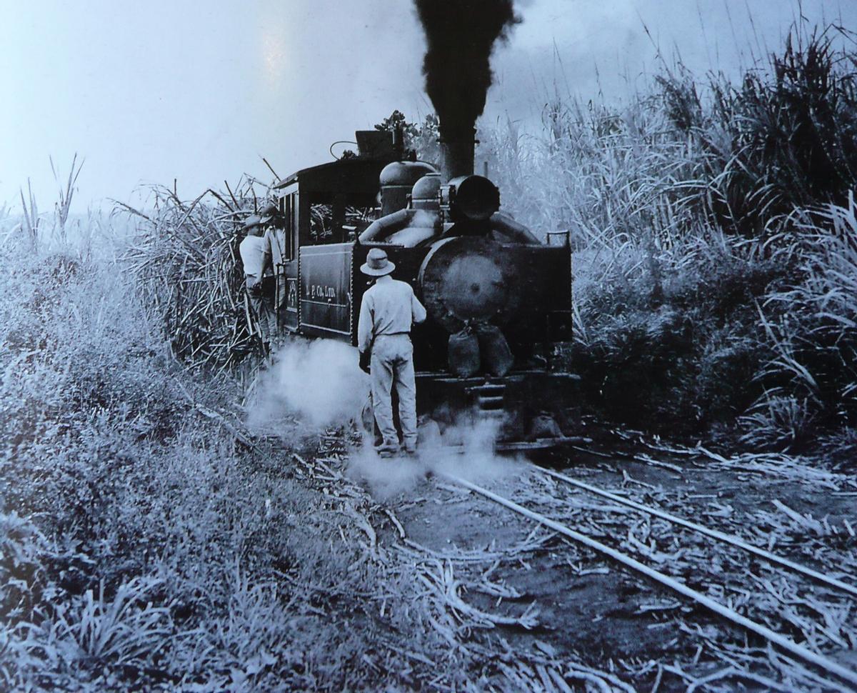 Tren caña de azúcar en Hawái.