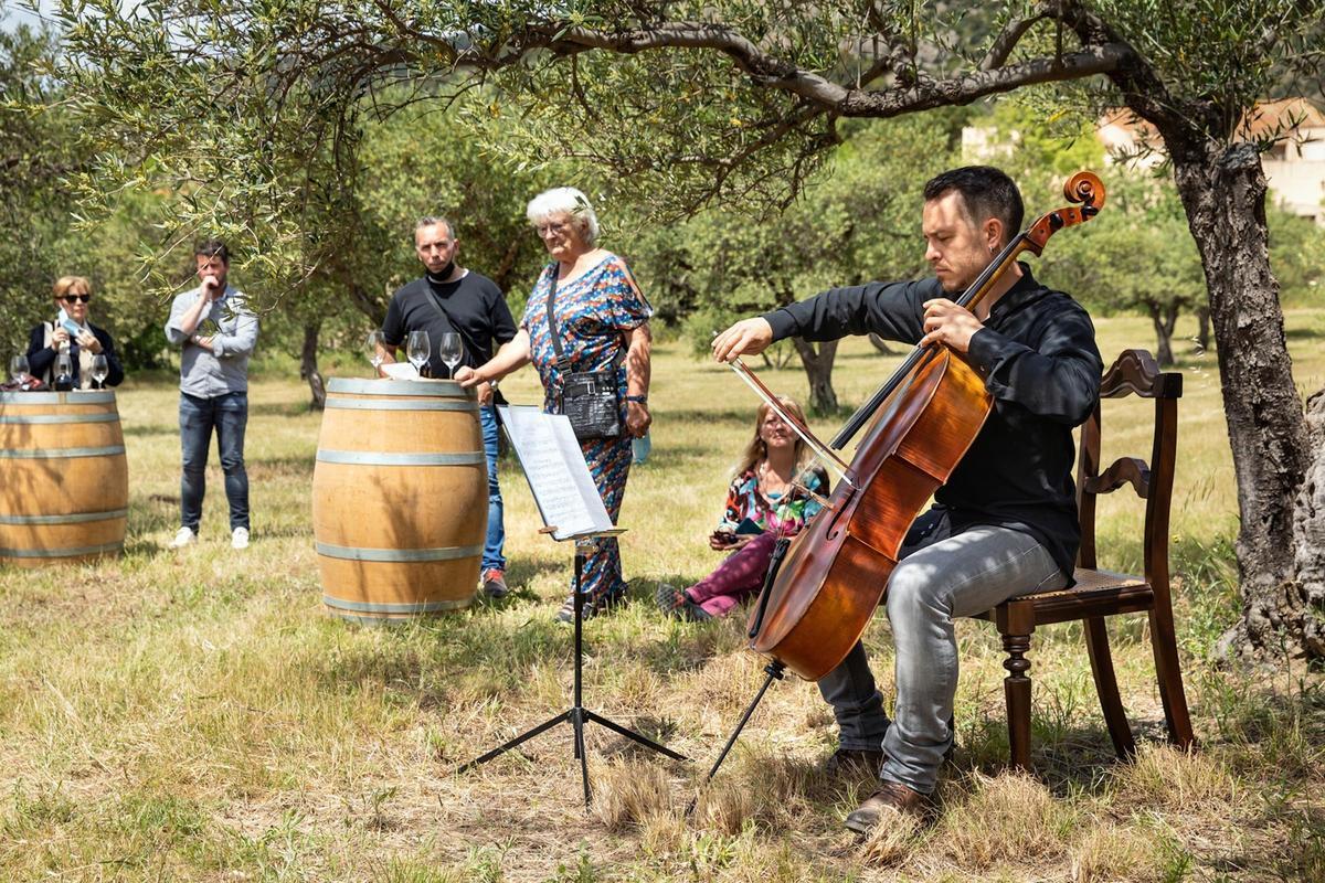 Un dels concerts meridats del Vívid