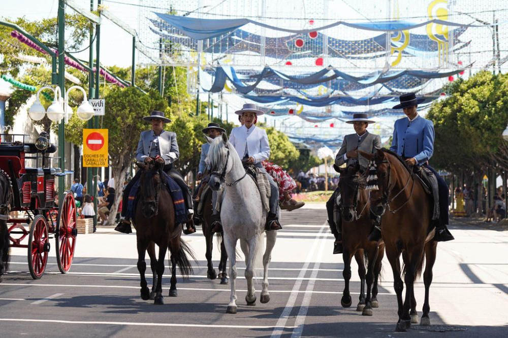 Primeros caballos en el Cortijo de Torres