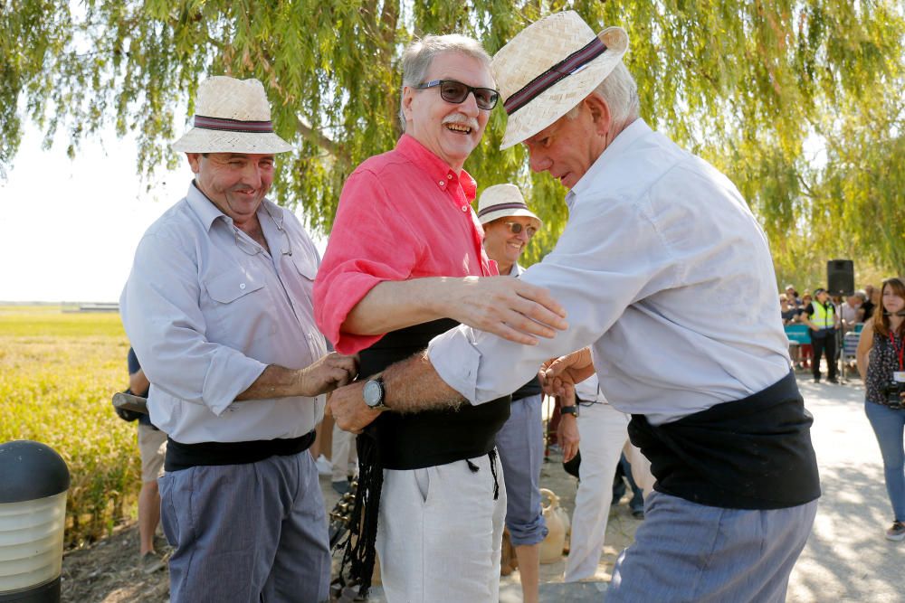 Siega y 'perxa' en l´Albufera