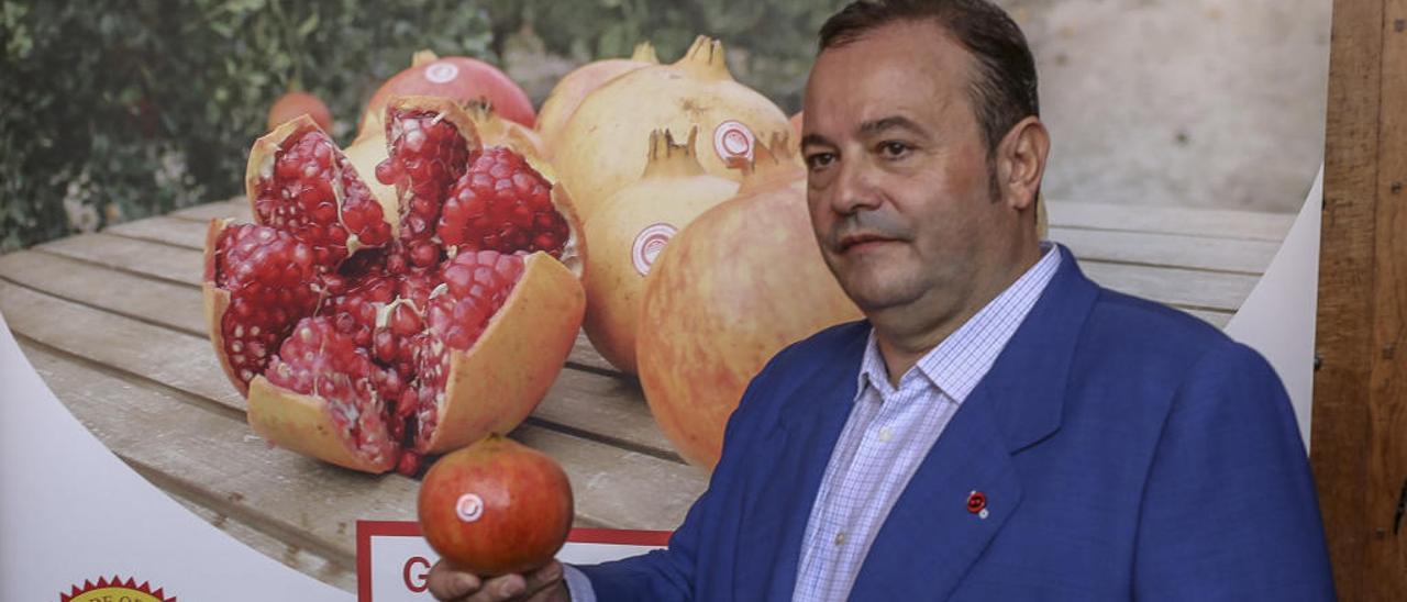 El director general de Joselito, José Gómez, con una granada mollar de Elche.