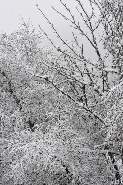 Ola de frío y nieve en Asturias