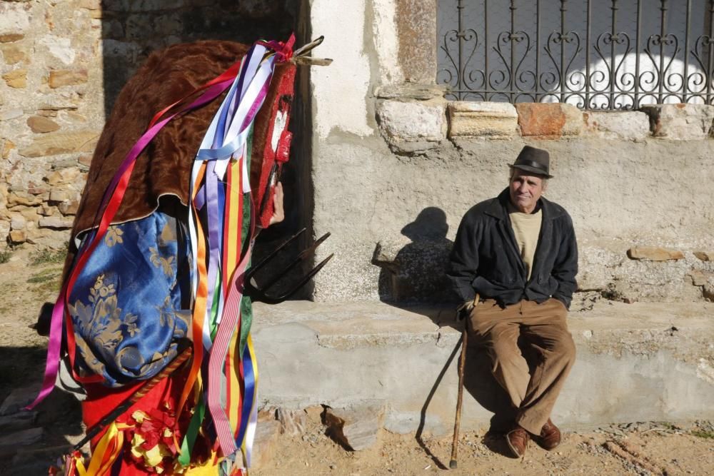 Zangarrón de Reyes 2019 en Montamarta