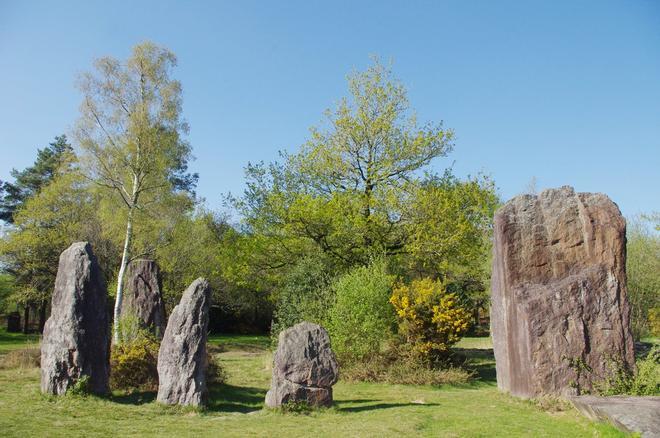 Bosque de Brocelandia, Bretaña, Francia