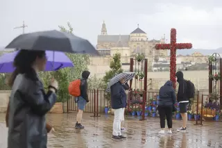 Córdoba lleva 93 días sin abrir el paraguas por la falta de lluvia