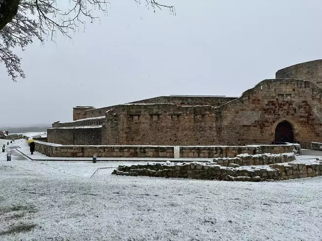 Nevadas en Zamora