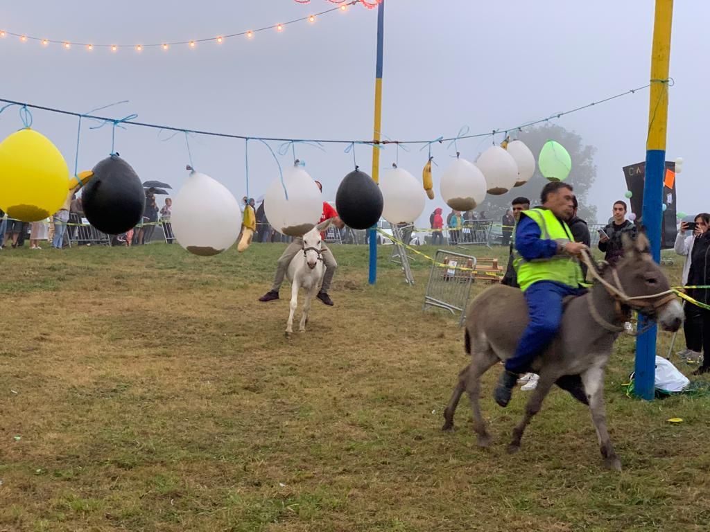 En imágenes: Así fue la carrera de burros y el fin de fiesta de Muncó, en Siero