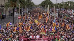 La Diada independentista 2025 llena las calles de Barcelona pese a la lluvia