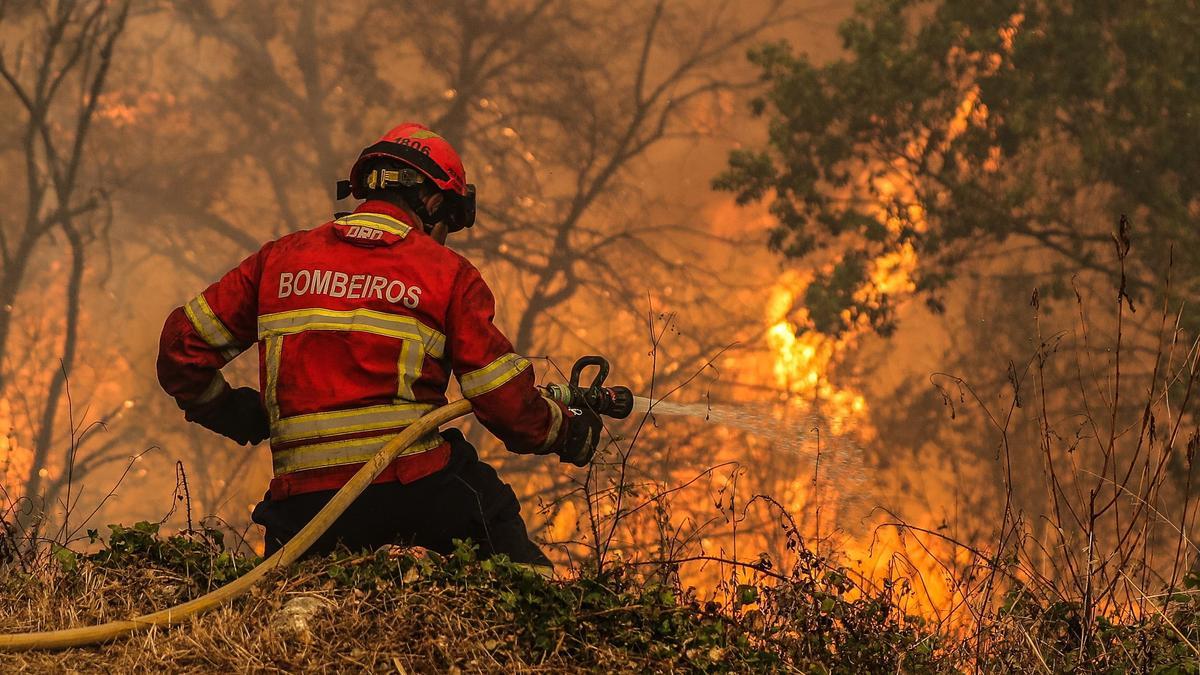 - Un bombero combate las llamas en el pueblo de Boavista, Ansião, durante la lucha contra el incendio que se inició en Abiul, Pombal, norte de Portugal, el 13 de julio de 2022. (Incendio) EFE/EPA/PAULO NOVAIS