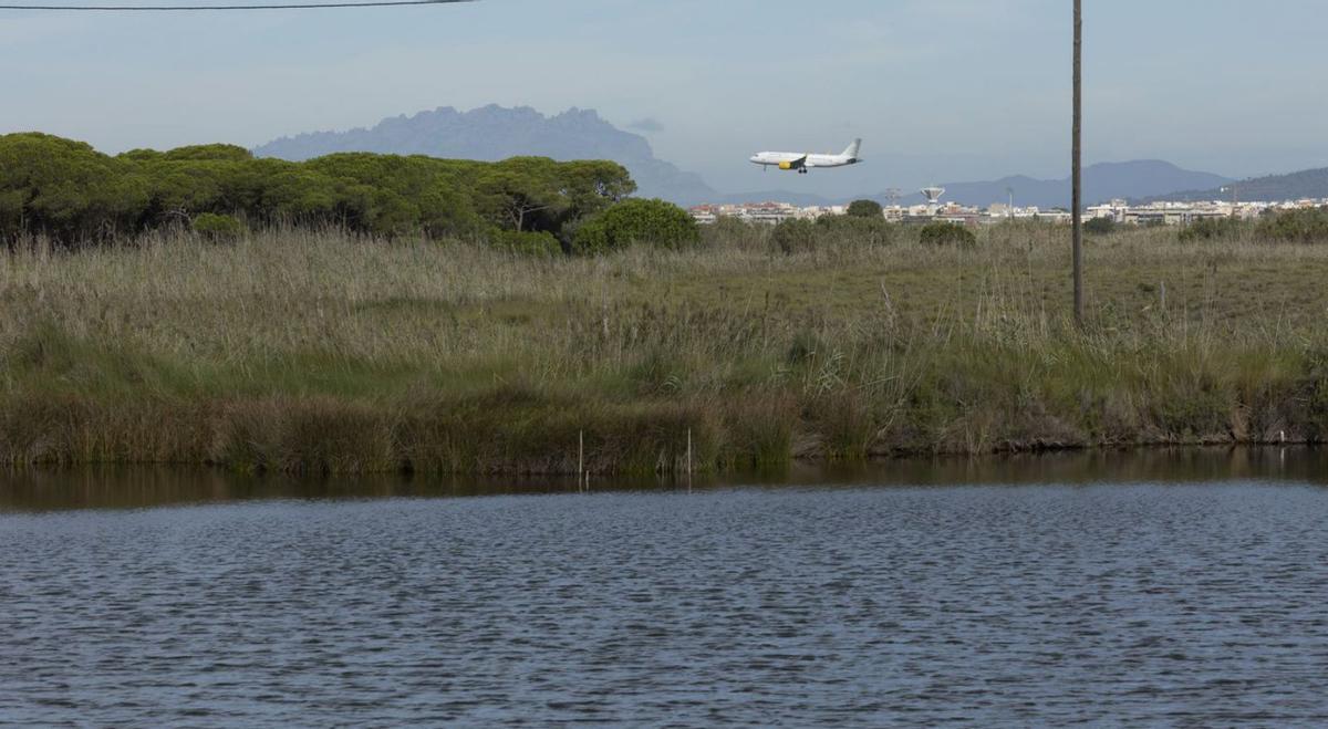 El delta del Llobregat aposta pel turisme sostenible El delta del Llobregat aposta pel turisme sostenible